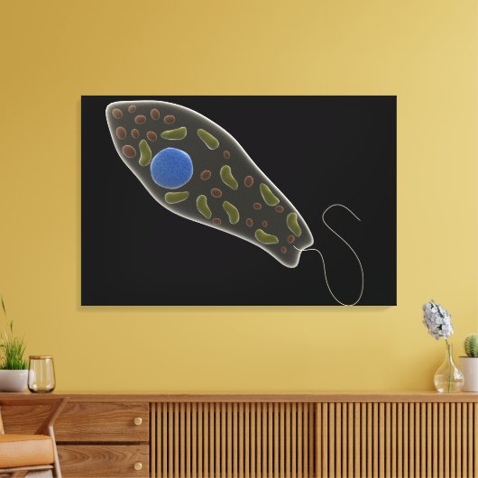 Toile Image Conceptuelle D'Eugléna 1 (Insitu(Salon))