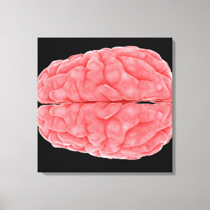 Toile Image Conceptuelle Du Cerveau Humain 10