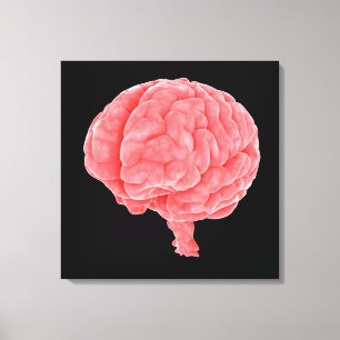 Toile Image Conceptuelle Du Cerveau Humain 5