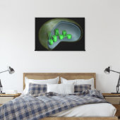 Toile Image Conceptuelle Du Chloroplaste 1 (Insitu(Chambre))