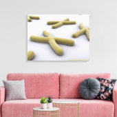 Toile Image Conceptuelle Du Chromosome 1 (Insitu(Salon))