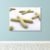 Toile Image Conceptuelle Du Chromosome 1 (Insitu (Plancher de Bois))