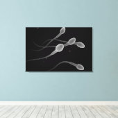 Toile Image Conceptuelle Du Sperme Masculin (Insitu (Plancher de Bois))