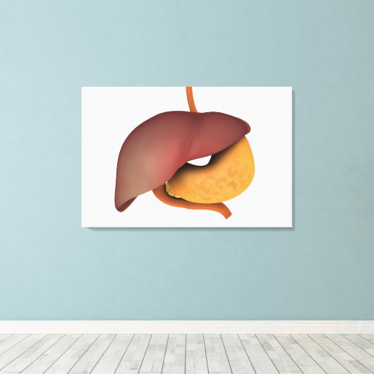 Toile Image Conceptuelle Du Système Digestif Humain 3 (Insitu (Plancher de Bois))