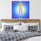 Toile Image Conceptuelle Du Système Nerveux Féminin (Insitu(Chambre))