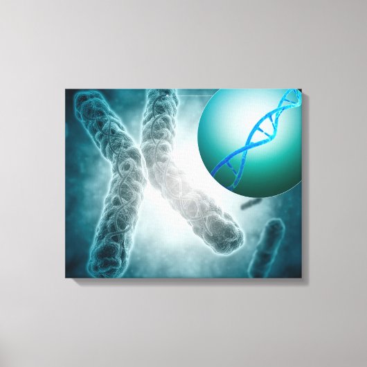 Toile Image Conceptuelle D'Une Telomère Montrant L'ADN (Recto)