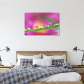 Toile Image d'asters formés dans des gouttelettes d'eau (Insitu(Chambre))