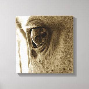 Toile Image en gros plan de sépia de l'oeil d'un cheval