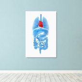 Toile Image En Rayon X D'Organes Internes Avec Coeur (Insitu (Plancher de Bois))