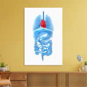 Toile Image En Rayon X D'Organes Internes Avec Coeur (Insitu(Salon))