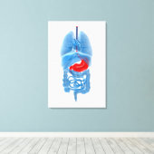 Toile Image En Rayon X D'Organes Internes Avec Estomac (Insitu (Plancher de Bois))