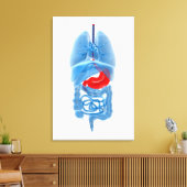 Toile Image En Rayon X D'Organes Internes Avec Estomac (Insitu(Salon))