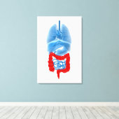 Toile Image En Rayon X D'Organes Internes Avec Gros (Insitu (Plancher de Bois))