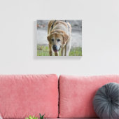 Toile Image Jaune (Insitu(Salon))