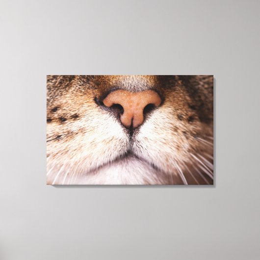 Toile Image macro du nez et de la bouche du chat. (Recto)