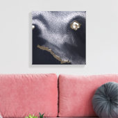 Toile Image satellite de l'île de Semisopochnoi (Insitu(Salon))