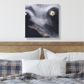 Toile Image satellite de l'île de Semisopochnoi (Insitu(Chambre))