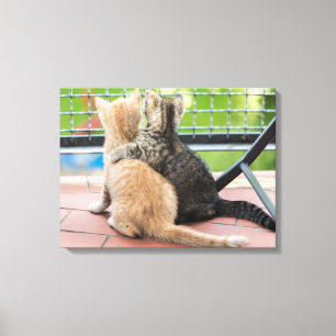 Toile Images de Getty   deux chatons sur un balcon