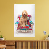 Toile Images Getty | Cute Goldendoodle (Insitu(Salon))