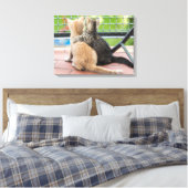 Toile Images Getty | Deux chatons sur un balcon (Insitu(Chambre))