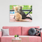 Toile Images Getty | Deux chatons sur un balcon (Insitu(Salon))