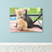 Toile Images Getty | Deux chatons sur un balcon (Insitu (Plancher de Bois))