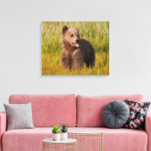 Toile Images Getty | Drôle bébé ours (Insitu(Salon))