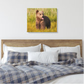 Toile Images Getty | Drôle bébé ours (Insitu(Chambre))