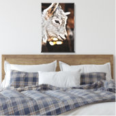 Toile Images Getty | Petite chèvre (Insitu(Chambre))