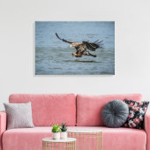 Toile Immature Bald Eagle plongée pour un poisson (Insitu(Salon))