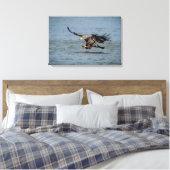 Toile Immature Bald Eagle plongée pour un poisson (Insitu(Chambre))