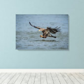 Toile Immature Bald Eagle plongée pour un poisson (Insitu (Plancher de Bois))
