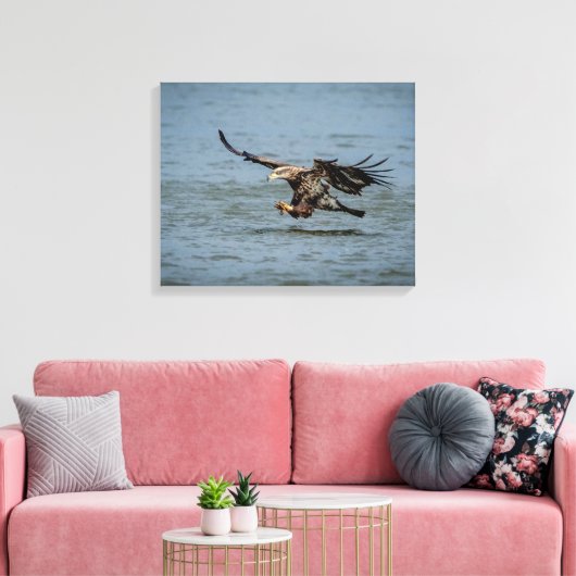 Toile Immature Bald Eagle plongée pour un poisson (Insitu(Salon))