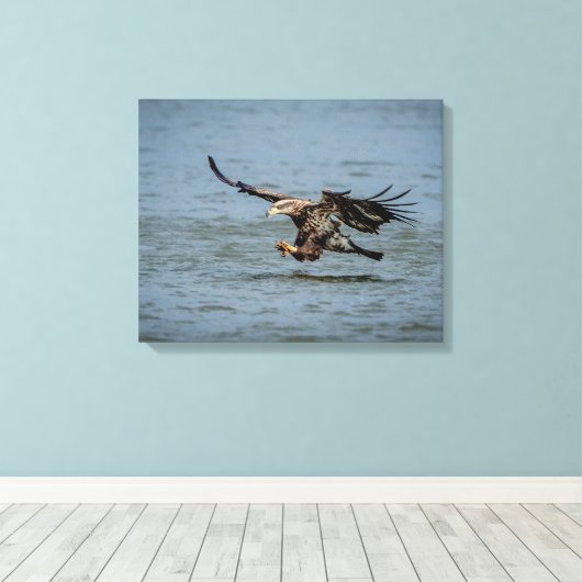 Toile Immature Bald Eagle plongée pour un poisson (Insitu (Plancher de Bois))