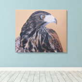 Toile Immature Harris Hawk (Insitu (Plancher de Bois))
