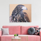 Toile Immature Harris Hawk (Insitu(Salon))