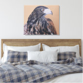 Toile Immature Harris Hawk (Insitu(Chambre))