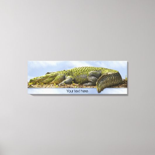 Toile Immense Gator Panoramique Nature Photography OB Ef (Recto)