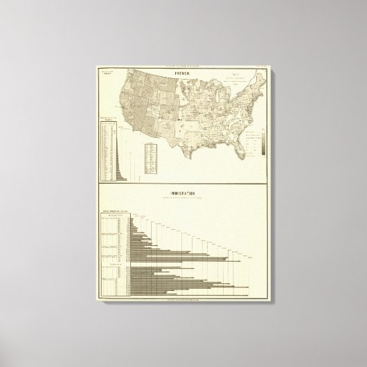 Toile Immigration française (Recto)