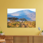 Toile Impala (Aepyceros Melampus), Hluhluwe-Umfolozi (Insitu(Salon))