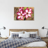 Toile Impala Lily (Adenium Multiflorum), Kruger (Insitu(Chambre))