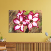 Toile Impala Lily (Adenium Multiflorum), Kruger (Insitu(Salon))