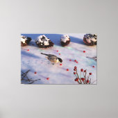 Toile Imprimer Canvas d'hiver de chickadee (Recto)