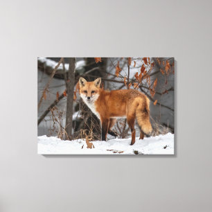 Toile Imprimer Canvas Fox hiver