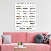 TOILE IMPRIMER CANVAS - STURGEON DU MONDE (Insitu(Salon))