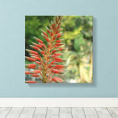 Toile Imprimer la photo de Fleur Aloe Vera (Insitu (Plancher de Bois))