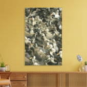 Toile Inde (Insitu(Salon))