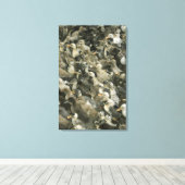 Toile Inde (Insitu (Plancher de Bois))