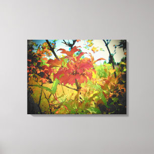 Toile Indian Summer Septembre Couleurs par djoneill