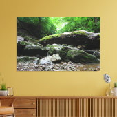 Toile Indian Village Canyon, Columbus, Ohio (Insitu(Salon))